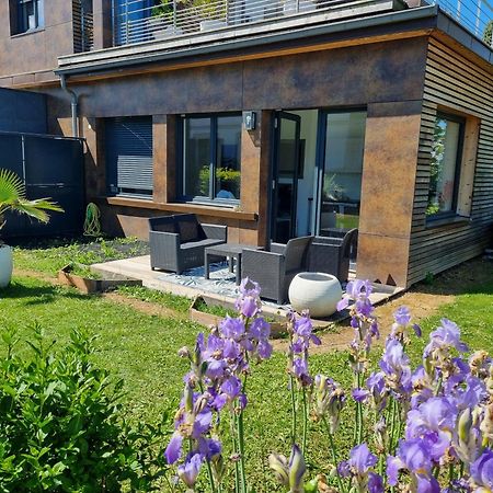 Appartement Cozy 1 Panoramique Lac Leman トノン・レ・バン エクステリア 写真
