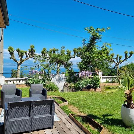 Appartement Cozy 1 Panoramique Lac Leman トノン・レ・バン エクステリア 写真